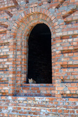 A red-haired kitten in the arched window of an unfinished brick house