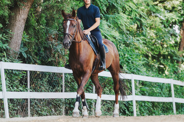 A young rider in a navy outfit gracefully trots on a brown horse along a rustic fenced path...