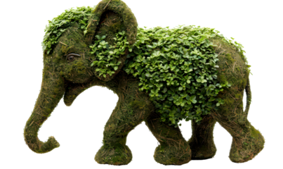 Charming Elephant Topiary Sculpture Isolate on White Background, cutout, png