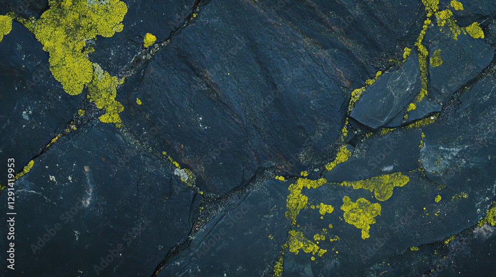 Poster Natural stone texture with vibrant moss and lichen for rustic design and background use