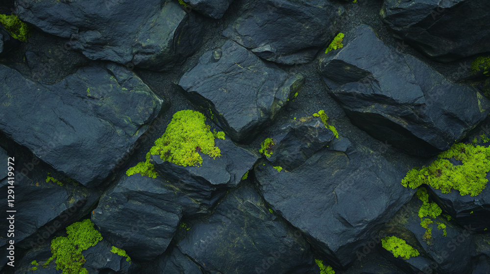 Poster natural stone texture with moss and lichen for background design