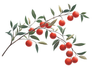 A vibrant branch adorned with clusters of red fruits and lush green leaves.