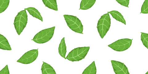 Green salad leaves seamless pattern vector illustration. Different basil leaf repeated ornament. Design for textil, fabric, background and vegetarian packaging. Eco backdrop.