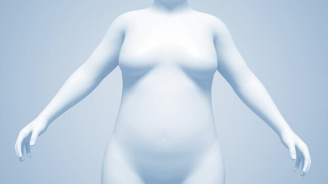 4K 3d rendered animation move camera white shade, Weight loss Comparison Woman transition from fat to fit.
