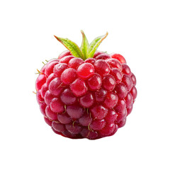 a single ripe raspberry on a transparent background