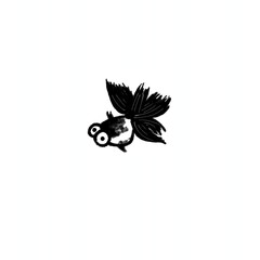 Silly black goldfish 