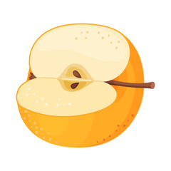 Yellow ripe half apple, fresh garden fruit. Hand drawn food clipart. Half, slice of fresh yellow apple fruit, Flat style isolated on transparent background. Golden Delicious Vector illustration