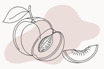 Peach Line Drawing Ideas for Artists