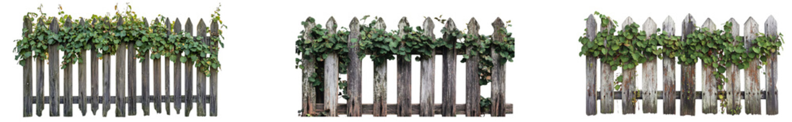 Obraz premium Set of wooden fence isolated on white background