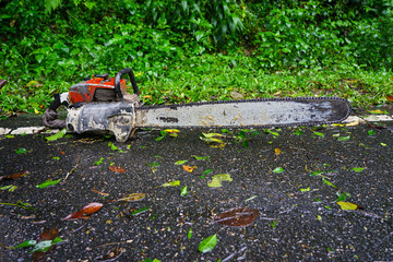 Chainsaw cuts down trees blocking traffic.