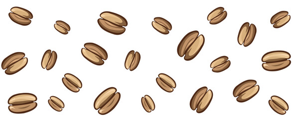 Coffee beans vector pattern isolated on white background.