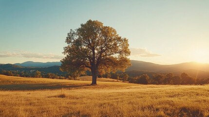 Fototapeta premium Majestic solitary tree standing in a golden field at sunset, with mountains in the background