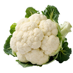 cauliflower isolated on white