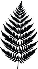 Obraz premium Fern Leaf Silhouette Vector Illustration for Botanical and Nature-Inspired Design Projects