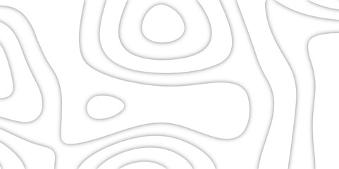 World Map Vintage Old-Style. Business concept. Fish Fillet Texture, Salmon fillet texture, fish pattern. Topographic map lines, contour background. Transparent PNG available. retro, patterns, Outline.