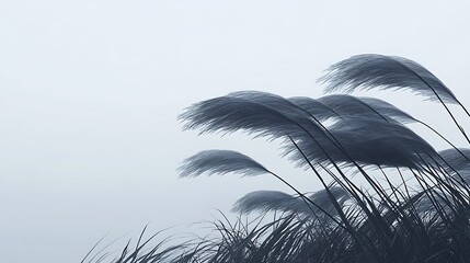 Obraz premium Windblown Grasses Lean In The Breeze Under An Overcast Sky