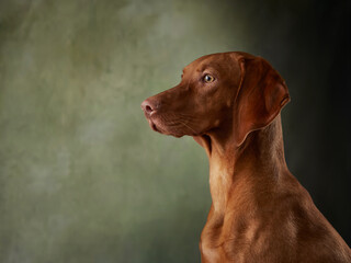A Vizsla is captured in profile against a textured green background, showing off its strong, elegant build. The warm brown tones of the fur contrast beautifully with the cool backdrop.