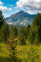 Naturpanorama i, Rocky Mountain Nationalpark