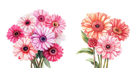 Watercolor set of gerbera png. Pink gerbera flowers on a transparent background. Flower elements for Mother's Day, March 8, etc. Spring romantic flowers.Colorful gerbera daisy flowers decorated