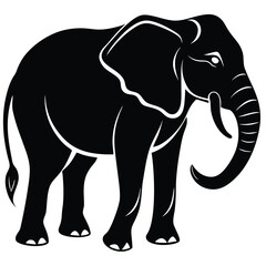 Elephant shilhouette,vector black color silhouette on a white background
