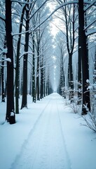 Dense snow-covered forest with bare tree branches, winter wonderland, winter woods