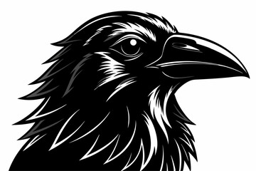 Detailed Raven Head Illustration – Black and White Woodcut Style Close-Up with Sharp Beak and Intense Eye