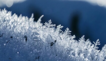  Close-up photo of ice crystals on snow
