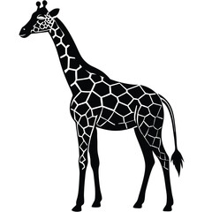 Naklejka premium Giraffe shilhouette,vector black color silhouette on a white background