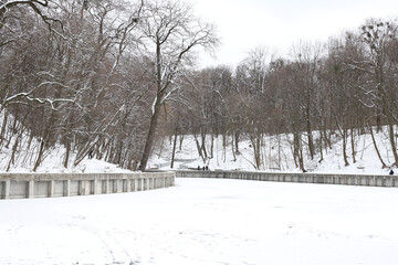 winter city park. trees covered in snow and a frozen pond
