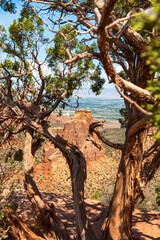 Bizarre Natur des Colorado National Monument