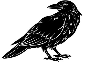  Black and White Raven Illustration – Woodcut Style Crow with Detailed Feathers and Gothic Aesthetic