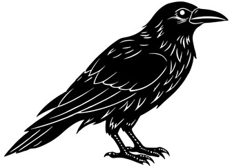 Stylized Black Raven Illustration with Detailed Silhouette and Sharp Beak