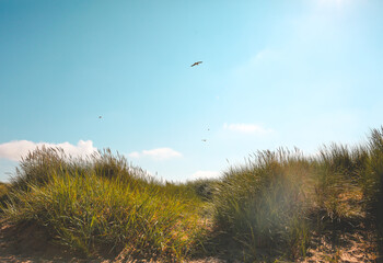 beach vibes blue skies