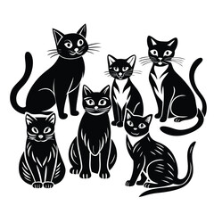 black and white cats