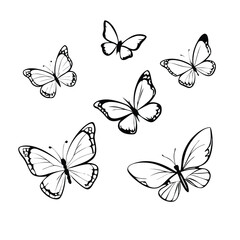 Monarch butterfly silhouettes collection, vector illustration isolated on white background