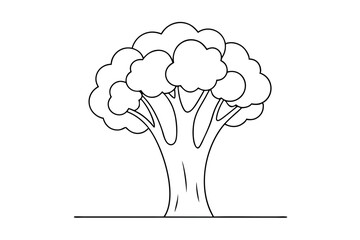 Elegant Broccoli Line Drawing Design
