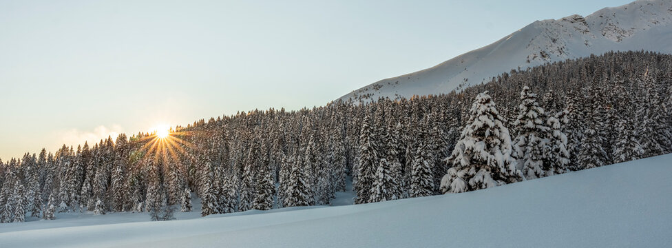 At Malga Ritorto, a splendid balcony over the entire Brenta Dolomites chain, here shot with the last lights of sunset, Brenta Dolomites, Madonna di Campiglio, Trentino, Italy