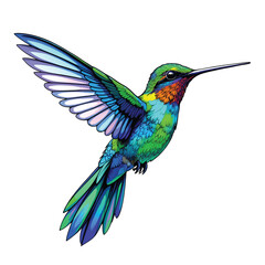 Fototapeta premium hummingbird in flight