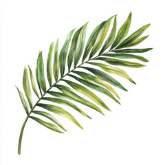 palm leaf branch with detailed textures and vibrant green hues, showcasing beauty of nature. Perfect for tropical themes and botanical designs