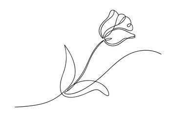 Elegant SingleLine Tulip Drawing, Minimalist Floral Art, Botanical Sketch