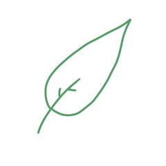 green leaf vector illustration