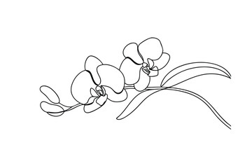 Elegant Line Art Drawing of Two Orchids and Leaves