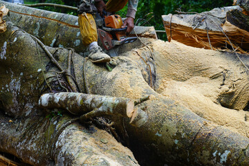 Heavy rain and strong winds caused large trees to fall and block traffic. Officers cleared the area.