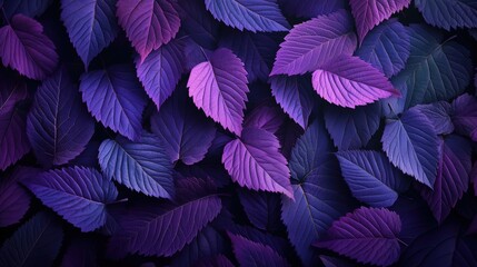 Fototapeta premium Purple leaves wallpaper with vibrant colorful foliage background for digital devices and print