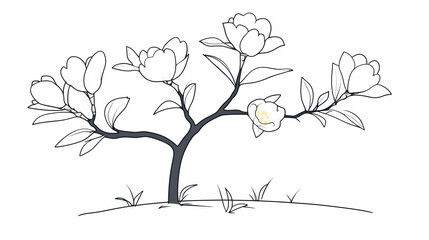 Fototapeta premium Magnolia Tree Blossoms in Garden