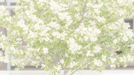Spring Blossoms by Building