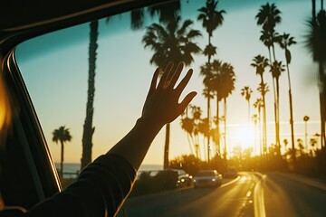 Sunset Palm Drive Scenic Road Trip