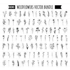 Collection of minimalistic simple floral elements. Flower vector. Flower Bundle Wildflowers Graphic sketch. Fashionable tattoo design. Flowers, grass and leaves. Botanical natural elements. 