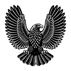 Obraz premium Majestic eagle bird with spreading wings, feather and sharp talons in black and white for conveying strength, freedom, and wildlife themes