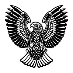 Obraz premium Majestic eagle bird with spreading wings, feather and sharp talons in black and white for conveying strength, freedom, and wildlife themes